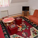 Apartment Ogorjelica