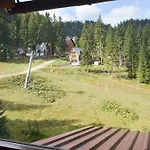 Ogorjelica