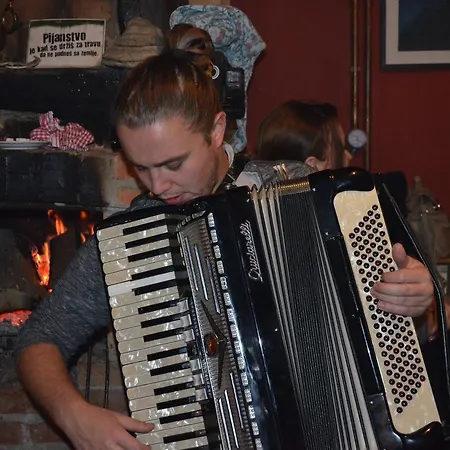 Ogorjelica アパート